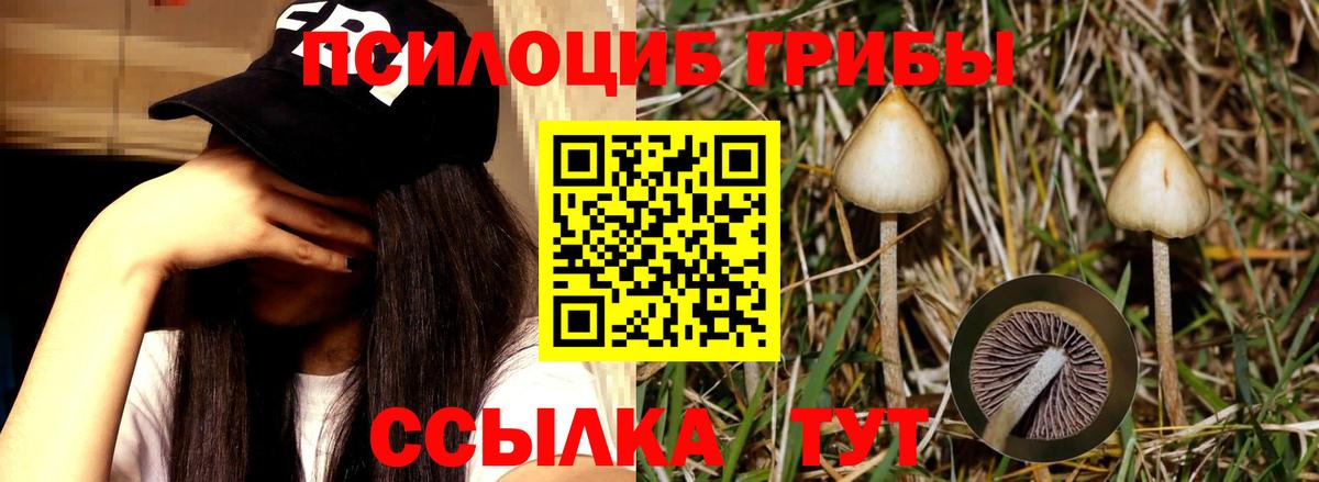 Лениногорск  Галлюциногенные грибы мицелий  Вход с VPN 