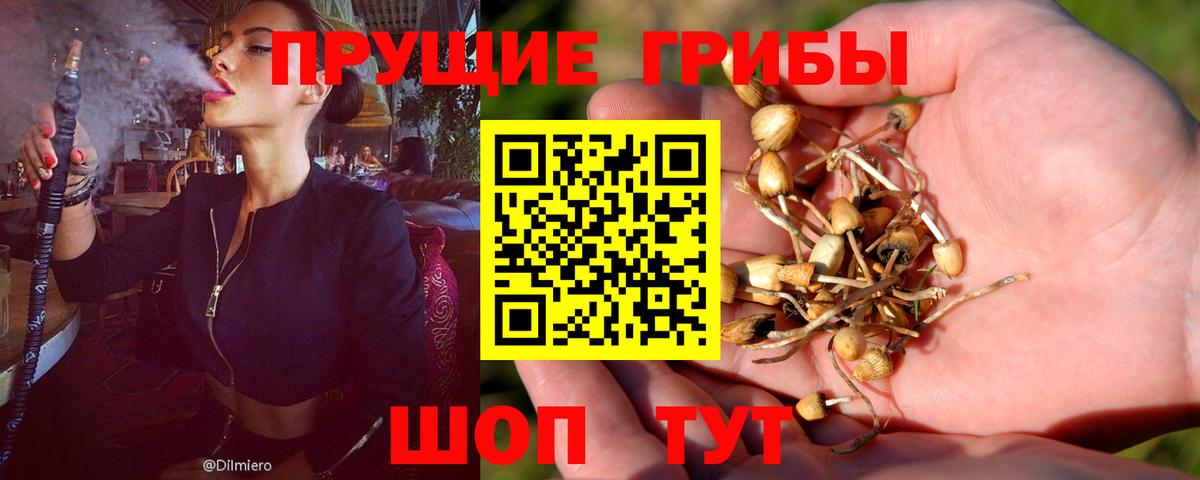 Лениногорск  Кетамин  Экстази  НБОМе  Меф кристаллы  Вход с VPN  МЕТАДОН  Каннабис  ГАШИШ  КОКАИН 