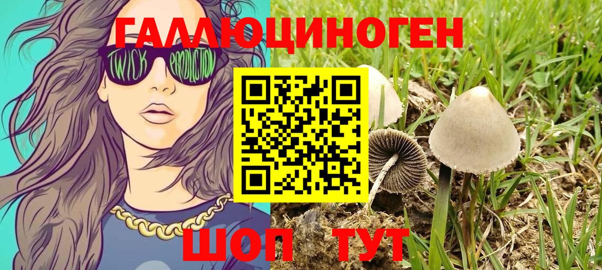 Псилоцибиновые грибы ЛСД Лениногорск